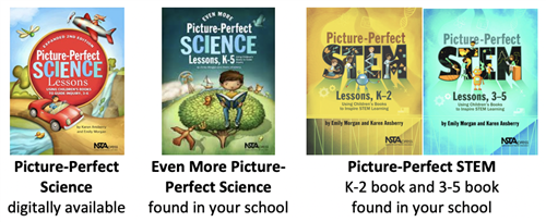 images of Picture Perfect Book covers